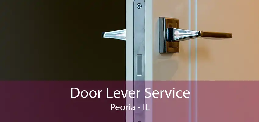 Door Lever Service Peoria - IL