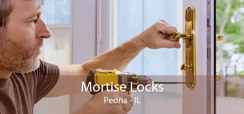 Mortise Locks Peoria - IL